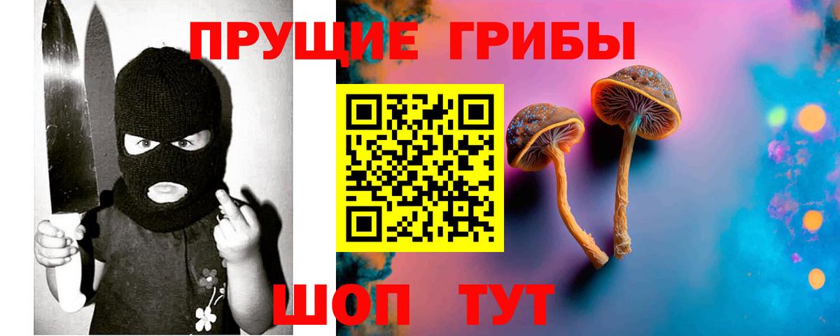 Галлюциногенные грибы Psilocybe  Галлюциногенные грибы Psilocybine cubensis  Шатура  Вход с VPN 
